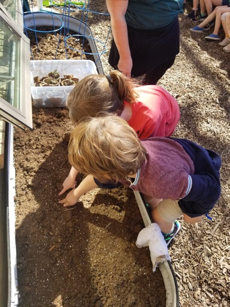 Students plant garden at private school.